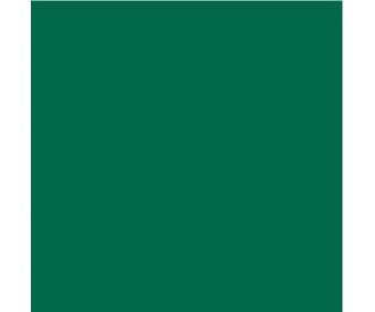 Kartong värviline Folia 50x70 cm, 300g/m² - 1 leht - kuuseroheline